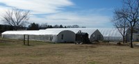 Three_greenhouses_in_bellville__ar_built___owned_and_used_by_stutzman_for_raising_tomatoes_0230